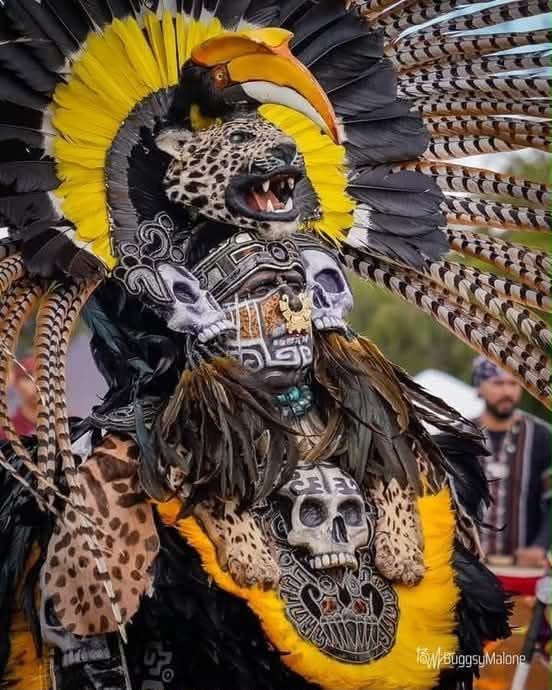 Aztec warrior in elaborate jaguar headdress with toucan and skull regalia